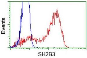 HEK293T cells transfected with either RC218359 overexpress plasmid (Red) or empty vector control plasmid (Blue) were immunostained by anti-SH2B3 antibody (ABIN2454470), and then analyzed by flow cytometry. (SH2B3 anticorps)