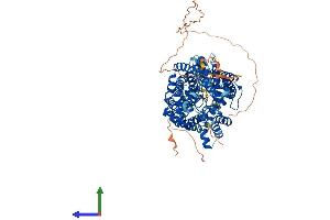 AlphaFold protein structure predicition of Mouse Recombinant Slc6a5 Protein, UniprotID Q761V0