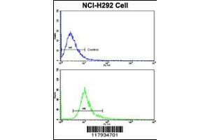 Flow cytometric analysis of NCI-H292 cells using DCXR Antibody (bottom histogram) compared to a negative control cell (top histogram).
