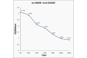 Antigen: 0. (GAD65 anticorps  (AA 501-585))