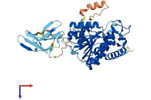 AlphaFold protein structure predicition of Human Recombinant WWOX Protein, UniprotID Q9NZC7