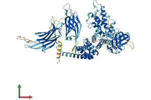 AlphaFold protein structure predicition of Mouse Recombinant Rasa3 Protein, UniprotID Q60790