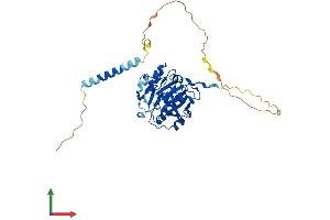 AlphaFold protein structure predicition of Human Recombinant B4GALT1 Protein, UniprotID P15291