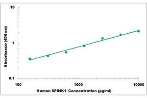 Representative Standard Curve (SPINK1 Kit ELISA)