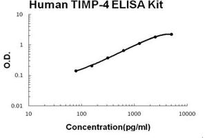 Human TIMP-4 PicoKine ELISA Kit standard curve (TIMP4 Kit ELISA)