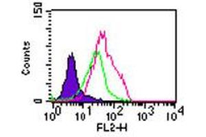 TLR5 Flow Cytometry Flow Cytometry of Rabbit Anti-TLR5 antibody. (TLR5 anticorps)