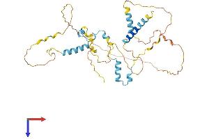 AlphaFold protein structure predicition of Human Recombinant FAM110B Protein, UniprotID Q8TC76
