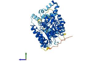 AlphaFold protein structure predicition of Mouse Recombinant Prodh2 Protein, UniprotID Q8VCZ9