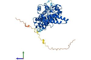 AlphaFold protein structure predicition of Human Recombinant TDO2 Protein, UniprotID P48775