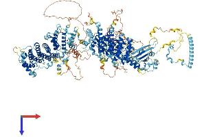 AlphaFold protein structure predicition of Mouse Recombinant Ralgapb Protein, UniprotID Q8BQZ4