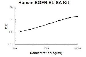 Human EGFR PicoKine ELISA Kit standard curve (EGFR Kit ELISA)