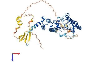 AlphaFold protein structure predicition of Mouse Recombinant Lrrc42 Protein, UniprotID Q8R2U7
