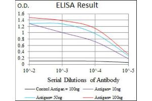 ELISA image for anti-Activated Leukocyte Cell Adhesion Molecule (ALCAM) (AA 405-524) antibody (ABIN1846220)