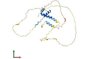 AlphaFold protein structure predicition of Mouse Recombinant Nkx2-6 Protein, UniprotID P43688