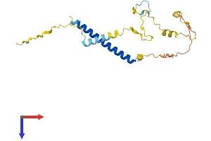 AlphaFold protein structure predicition of Human Recombinant MBD3L4 Protein, UniprotID A6NDZ8