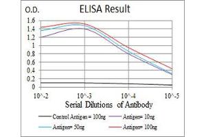 anti-Selectin L (SELL) (AA 83-186) antibody