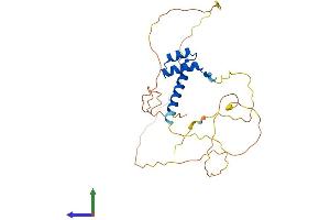 AlphaFold protein structure predicition of Mouse Recombinant Otx2 Protein, UniprotID P80206
