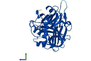 AlphaFold protein structure predicition of Human Recombinant C11orf54 Protein, UniprotID Q9H0W9