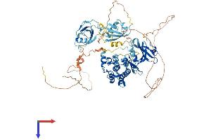 AlphaFold protein structure predicition of Mouse Recombinant Dclk1 Protein, UniprotID Q9JLM8