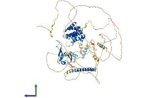 AlphaFold protein structure predicition of Human Recombinant AXIN2 Protein, UniprotID Q9Y2T1