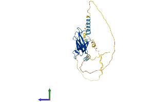 AlphaFold protein structure predicition of Mouse Recombinant Eaf1 Protein, UniprotID Q9D4C5