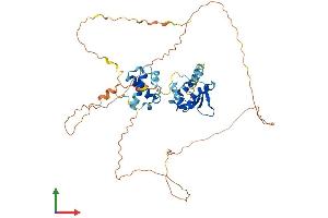 AlphaFold protein structure predicition of Human Recombinant ETV6 Protein, UniprotID P41212