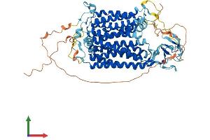 AlphaFold protein structure predicition of Mouse Recombinant Slco4c1 Protein, UniprotID Q8BGD4