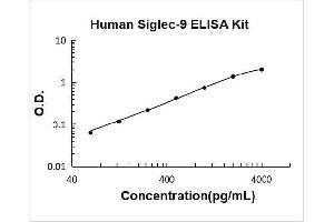 Sialic Acid Binding Ig-Like Lectin 9 (SIGLEC9) ELISA Kit