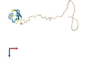 AlphaFold protein structure predicition of Human Recombinant SRSF3 Protein, UniprotID P84103