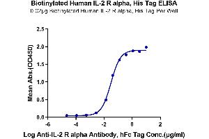 Immobilized Biotinylated Human IL-2 R alpha, His Tag at 0.