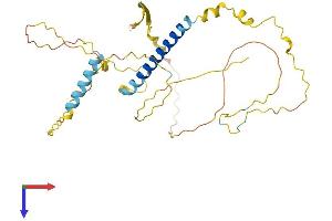 AlphaFold protein structure predicition of Mouse Recombinant Taf1d Protein, UniprotID Q9D4V4