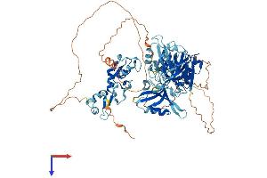 AlphaFold protein structure predicition of Mouse Recombinant Lnx1 Protein, UniprotID O70263
