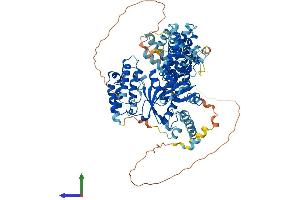 AlphaFold protein structure predicition of Mouse Recombinant Kat2b Protein, UniprotID Q9JHD1
