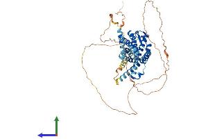 AlphaFold protein structure predicition of Mouse Recombinant Gpr152 Protein, UniprotID Q8BXS7