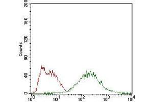 Flow cytometric analysis of HepG2 cells using EIF2A mouse mAb (green) and negative control (red). (EIF2A anticorps  (AA 448-576))