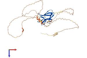 AlphaFold protein structure predicition of Human Recombinant STBD1 Protein, UniprotID O95210