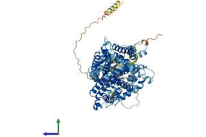 AlphaFold protein structure predicition of Human Recombinant SLC4A1 Protein, UniprotID P02730