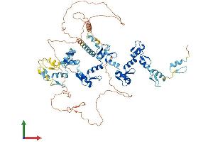 AlphaFold protein structure predicition of Human Recombinant ZNF778 Protein, UniprotID Q96MU6
