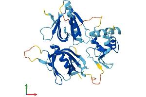 AlphaFold protein structure predicition of Human Recombinant PLEK Protein, UniprotID P08567