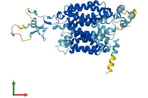 AlphaFold protein structure predicition of Mouse Recombinant Slc22a7 Protein, UniprotID Q91WU2