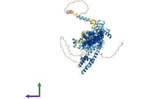 AlphaFold protein structure predicition of Human Recombinant TRPC6 Protein, UniprotID Q9Y210