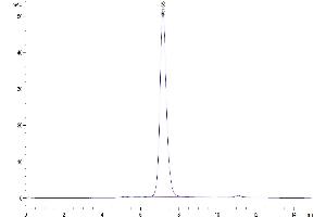 The purity of Human BAFF (Trimer) is greater than 94 % as determined by SEC-HPLC.