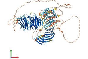 AlphaFold protein structure predicition of Human Recombinant WDR72 Protein, UniprotID Q3MJ13