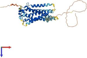 AlphaFold protein structure predicition of Mouse Recombinant S1pr3 Protein, UniprotID Q9Z0U9