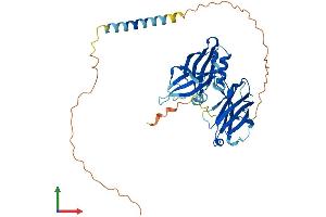 AlphaFold protein structure predicition of Mouse Recombinant Syt8 Protein, UniprotID Q9R0N6