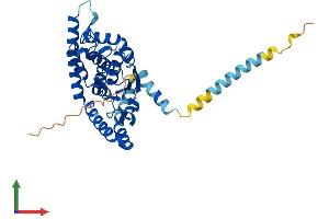 AlphaFold protein structure predicition of Mouse Recombinant Gdap1 Protein, UniprotID O88741