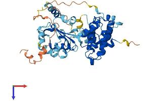 AlphaFold protein structure predicition of Mouse Recombinant Arhgap1 Protein, UniprotID Q5FWK3
