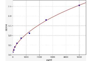 Typical standard curve (Aminomethyltransferase Kit ELISA)