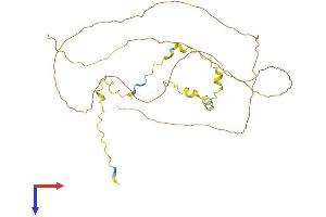 AlphaFold protein structure predicition of Human Recombinant CYLC2 Protein, UniprotID Q14093