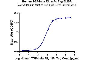 Immobilized Human Mature TGF beta 1, No Tag at 0.